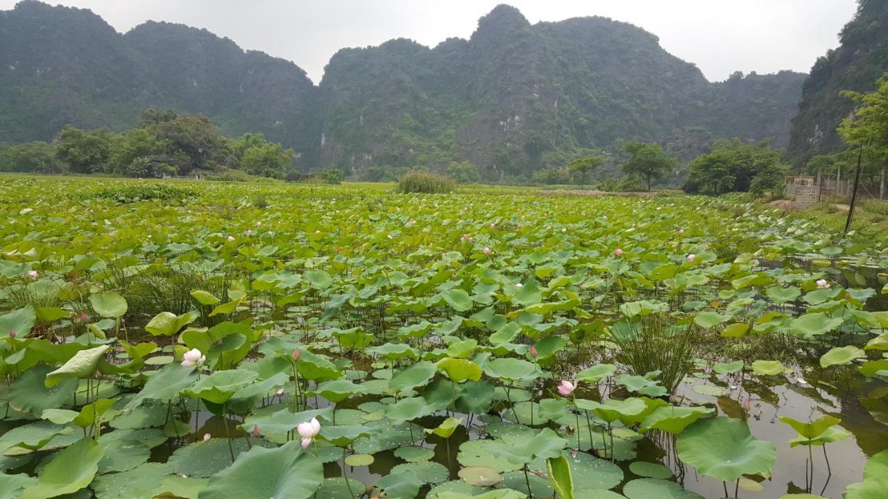 Hoalu Ecolodge Homestay Ninh Binh Exterior photo