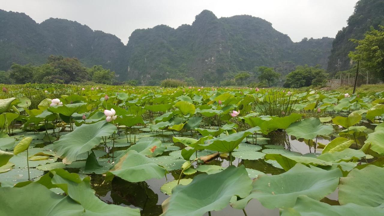 Hoalu Ecolodge Homestay Ninh Binh Exterior photo