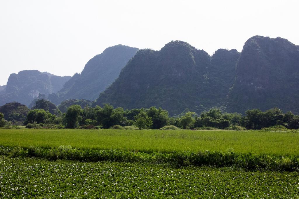 Hoalu Ecolodge Homestay Ninh Binh Exterior photo