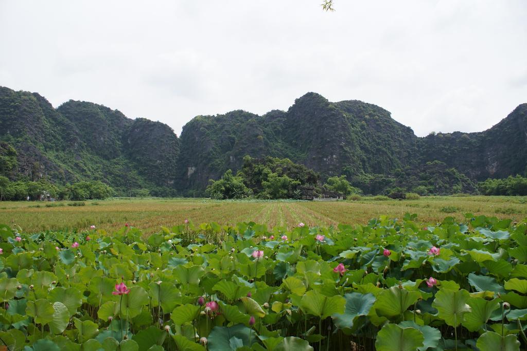 Hoalu Ecolodge Homestay Ninh Binh Exterior photo